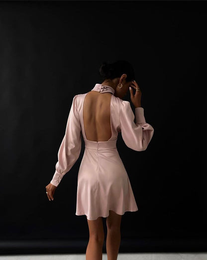 Elegant Simeple Prom Dress With Long Sleeves  Above Kneen Length Homecoming Dress c2499