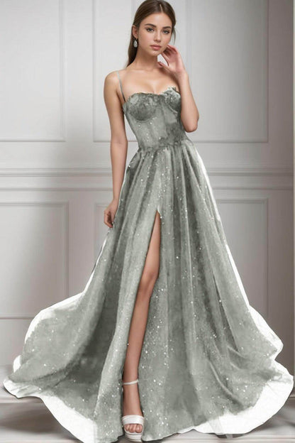 A-Line Sweep-Brush Train Tulle Prom Dress CS0439