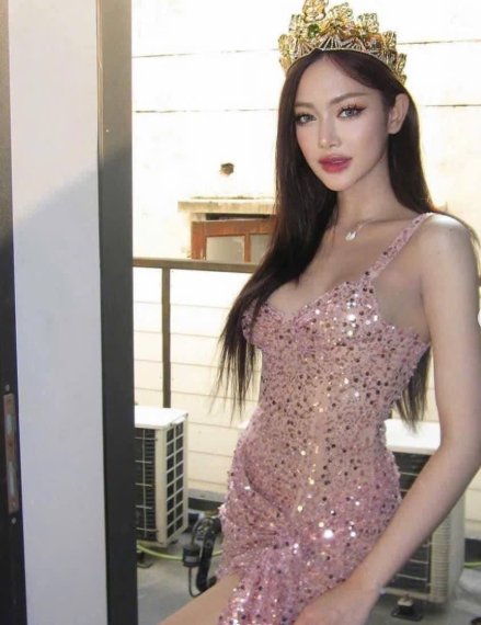 Sparkly Tulle Sequin Sheath Cocktail Dress Pink Short Homecoming Dress Birthday Outfits Dress cc3276