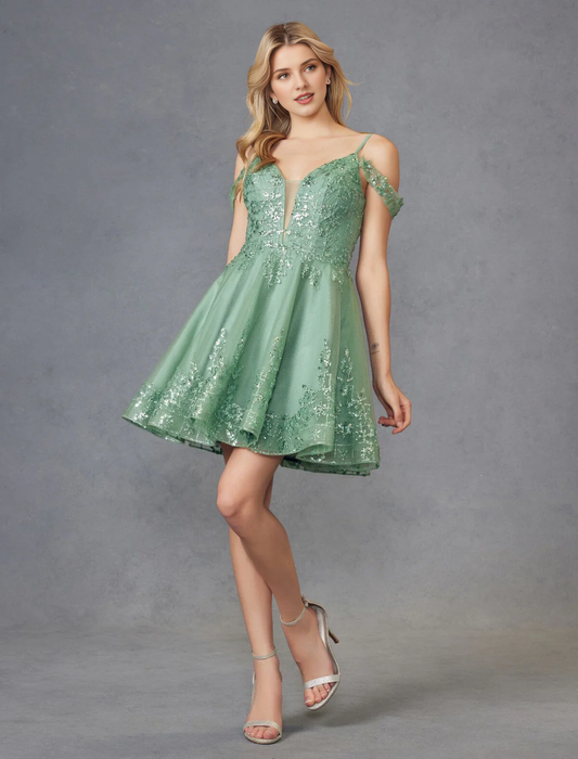 Embroidered off shoulder short dress with sequins
