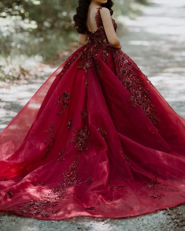 Ball Gown Organza Dresses Lace Embroidery Beaded V Neck
