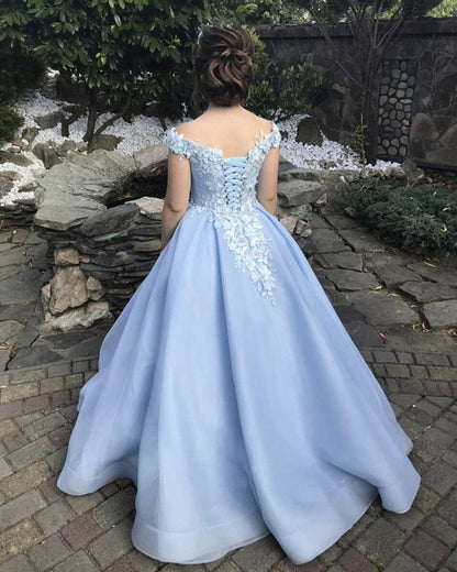 Ball Gown Tulle Off Shoulder Appliques Dresses