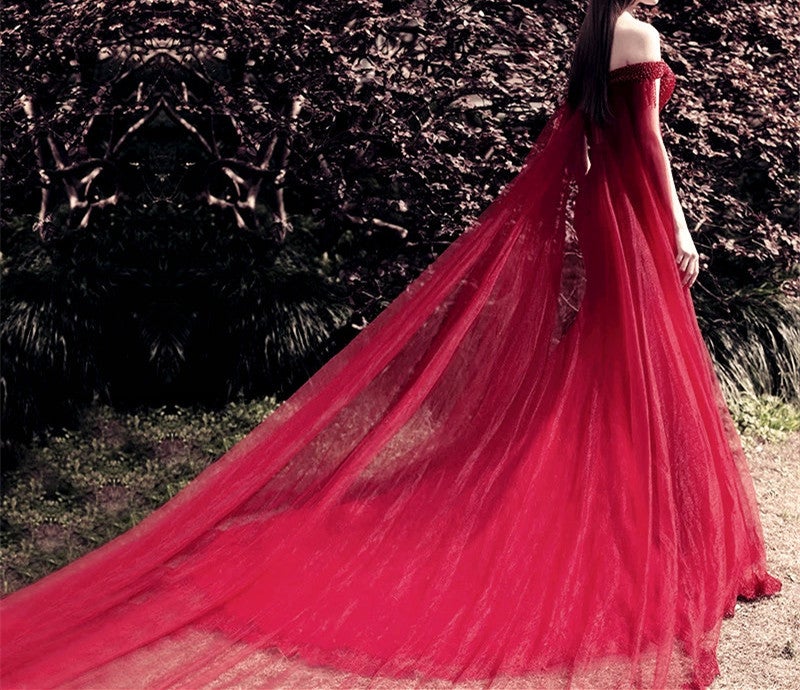 Beading V Neck Off Shoulder Lace Mermaid Evening Dresses Removable Skirt