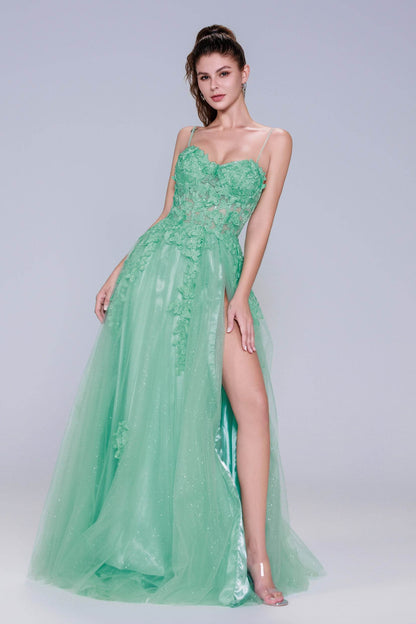 A-Line Maxi Tulle Prom Dress CS1044