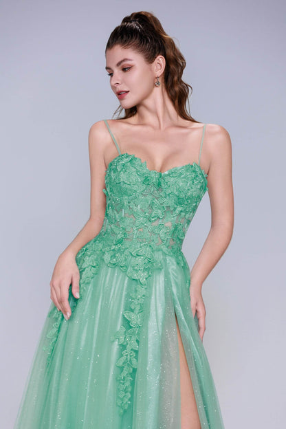 A-Line Maxi Tulle Prom Dress CS1044