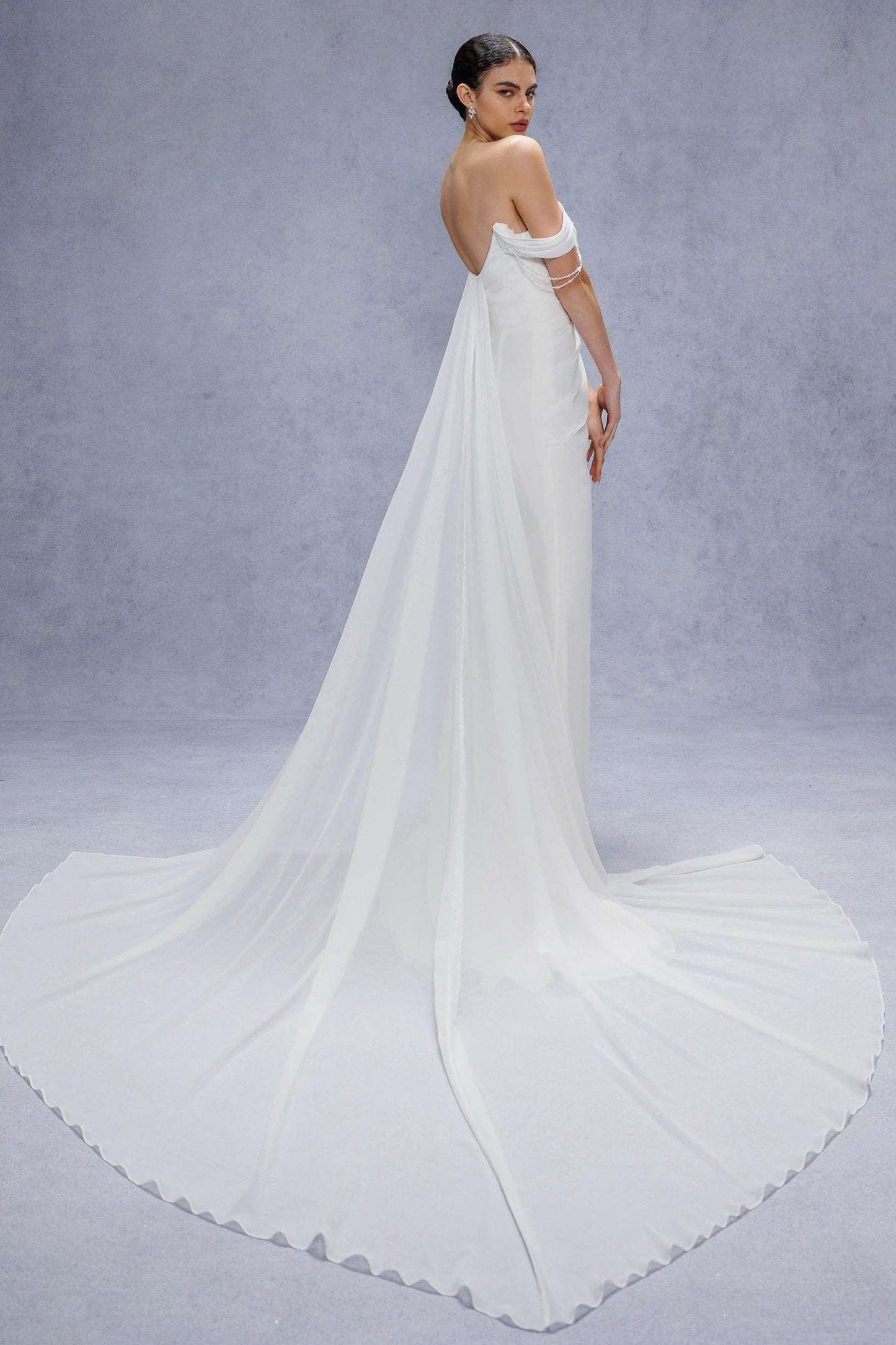 Sheath-Column Chapel Train Chiffon Wedding Dress CW3330