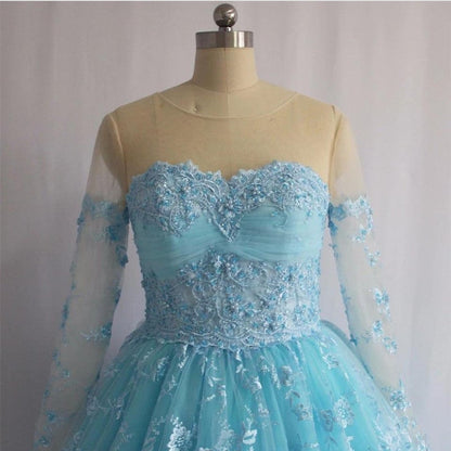 Illusion Neckline Long Sleeves Lace Ball Gowns Quinceanera Dresses
