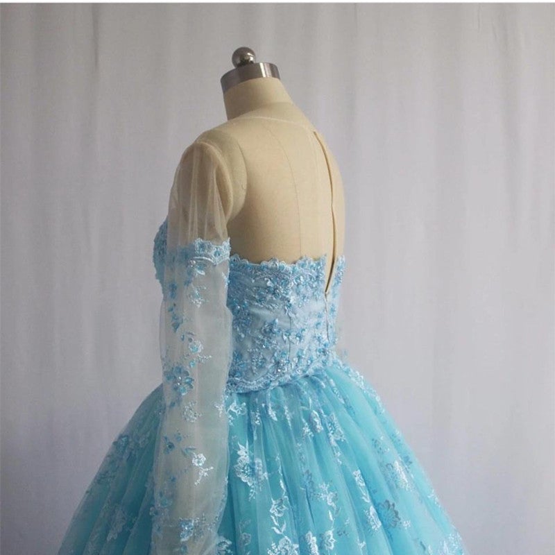 Illusion Neckline Long Sleeves Lace Ball Gowns Quinceanera Dresses