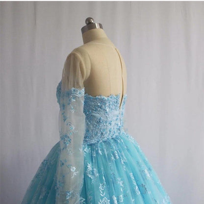 Illusion Neckline Long Sleeves Lace Ball Gowns Quinceanera Dresses