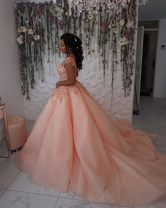 Modest Lace Cap Sleeves Organza Quinceanera Dresses Ball Gowns