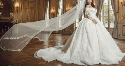 Off Shoulder V-neck Tulle Ball Gown Wedding Dress Lace Appliques