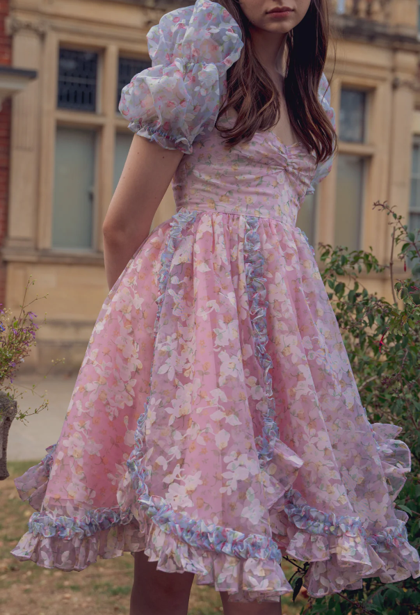Princess Print Short Sleeve Pink Tulle A-Line Birthday Skirt Homecoming Dress cc3647