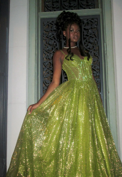 Glamorous Bright Green A-Line Spaghetti Strap Deep V Sequin Tulle Long Prom Dress Evening Dress cc5208