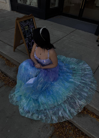 Dreamy Gradient Blue-Purple A-Line Camisole Sequin Starry Tulle  Long Prom Dress Evening Dress cc5218