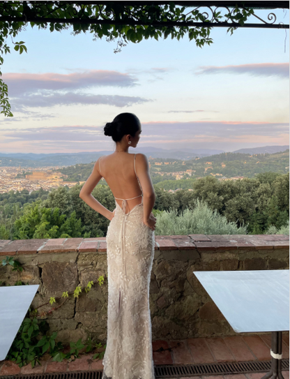 French Elegant Champagne Apricot Mermaid Spaghetti Strap Deep V-Neck Embroidered Lace Long Prom Dress Evening Dress cc5259