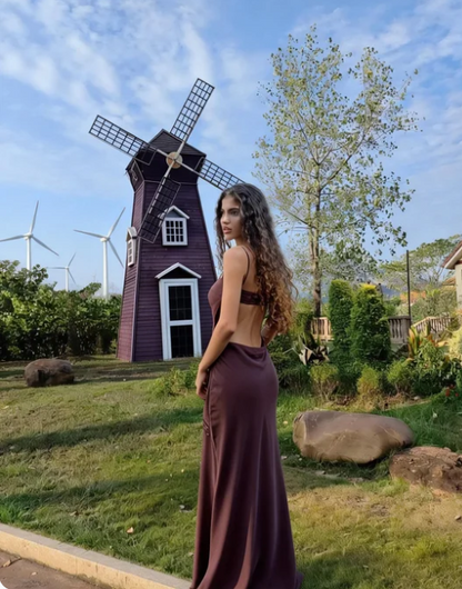 Vintage Dark Brown Spaghetti Strap Slim Fit Open Back Satin Long Prom Dress Birthday Dress cc5555