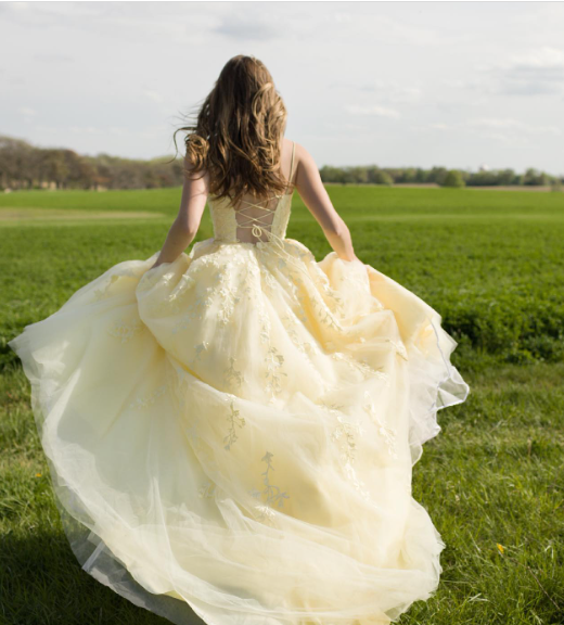 Sweet Yellow A-line Tube Top Embroidered Tulle Long Prom Dress Evening Dress cc4766