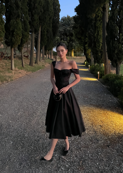Chic Black A-Line Evening Gown Straps Party Dress Tea Length Formal Dress HZ1024