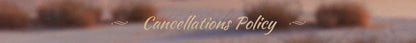 Customized Dubai Wedding Dress More Pearls Sequins Bridal Ball Gowns V Neck Long Sleeves