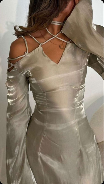 Silver Gray Long Sleeve Off Shoulder A Line Elegant Long Prom Dress Evening Gown HZ1024
