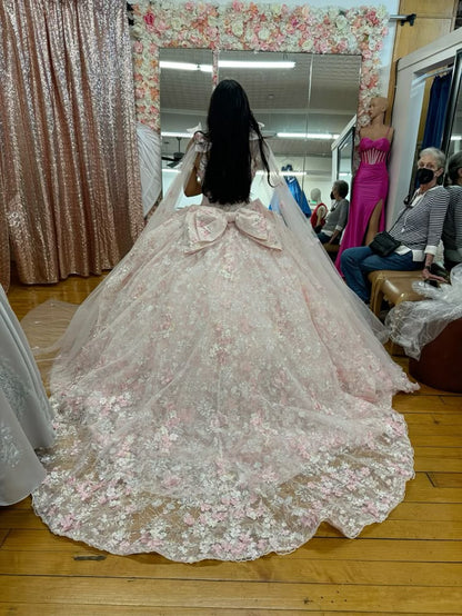 Sweet light pink princess dress sweetheart neckline bow tail A-line prom dress evening dress HZ1024