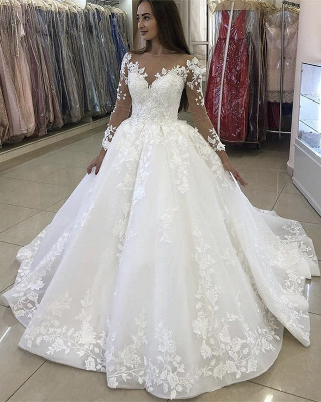 Illusion Neckline Wedding Dress Organza Ball Gown Lace Embroidery