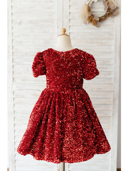 Beautiful Jewel Neck Ball Gown Flower Girl Dress With Sequined Short Sleeves