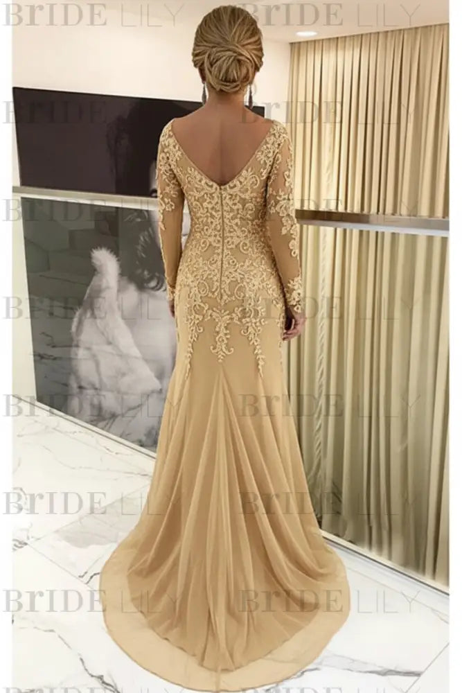 Elegant Long Sleeves Lace mother of the bride dress V-Neck