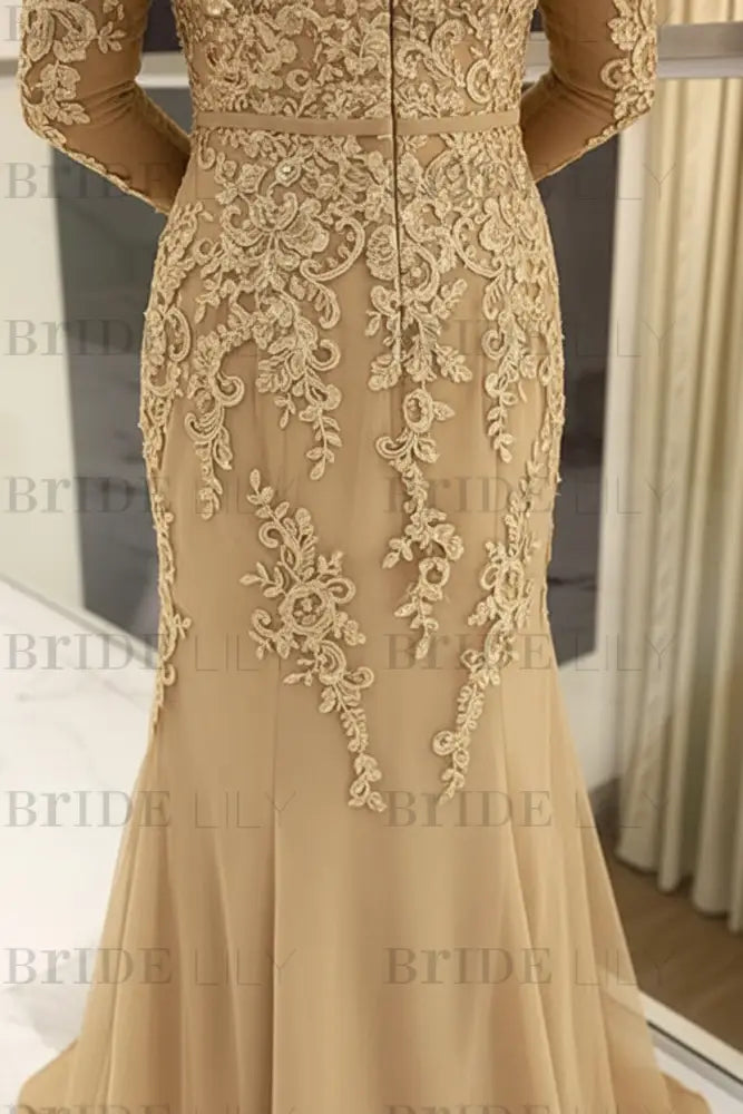 Elegant Long Sleeves Lace mother of the bride dress V-Neck