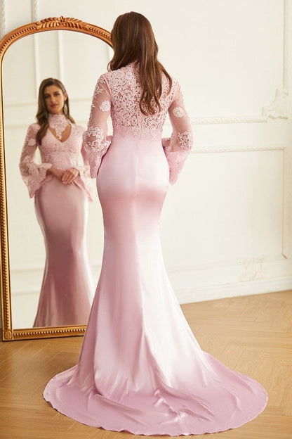 Elegant Pink V-Neck Lace Long Sleeves Sheath Prom Dress