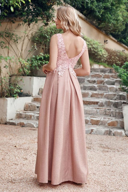 Gorgeous Aline Evening Dress Sleeveless Lace Appliques Bridesmaid Dress