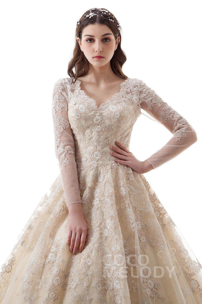 Princess Court Train Lace Tulle Gothic Wedding Dress LD4622