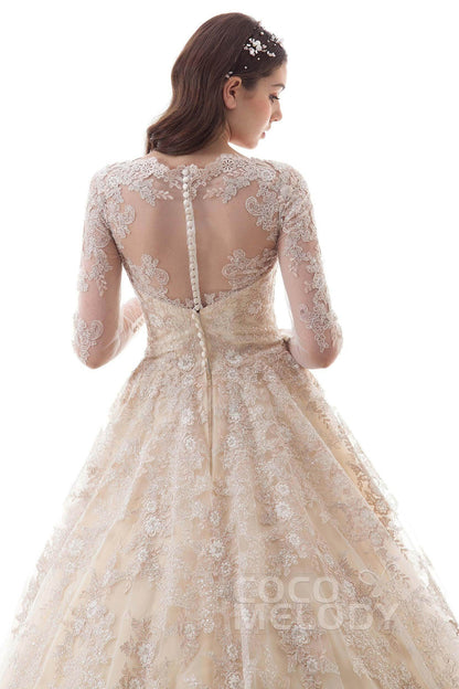 Princess Court Train Lace Tulle Gothic Wedding Dress LD4622