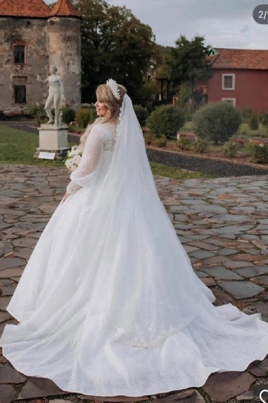 Luxurious Plus Size Tulle Aline Wedding Dress Lace Appliques Bridal Dress