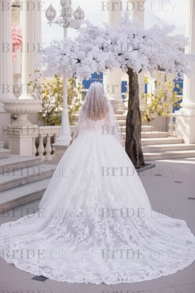 Gorgeous Tulle Aline Wedding Dress Off-the-Shoulder with Long Sleeves