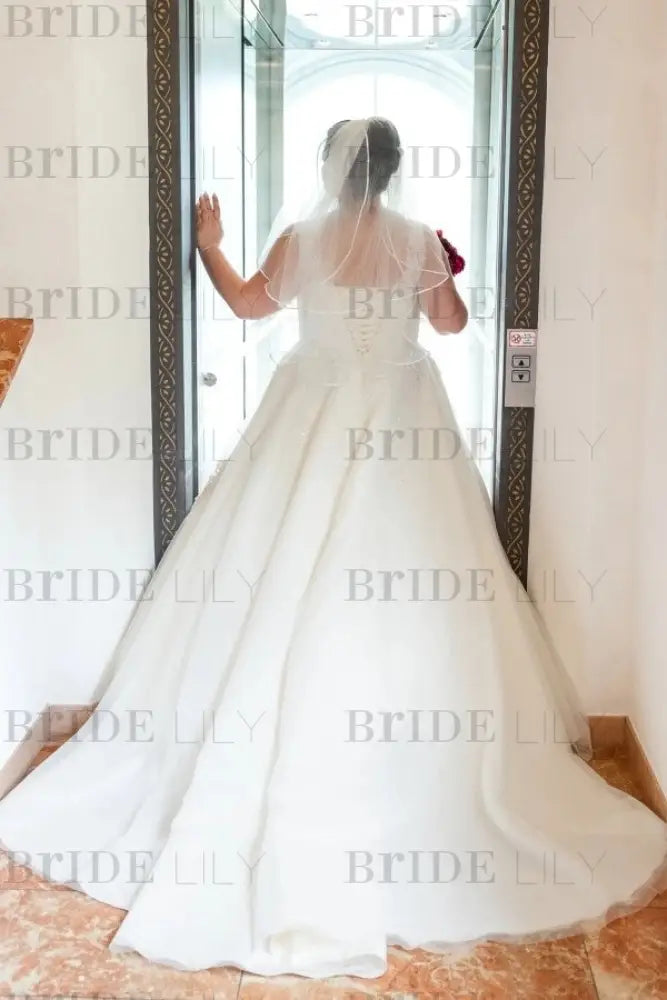 Plus Size Wedding Dress Tulle Lace Aline Bridal Dress V-neck with Appliques