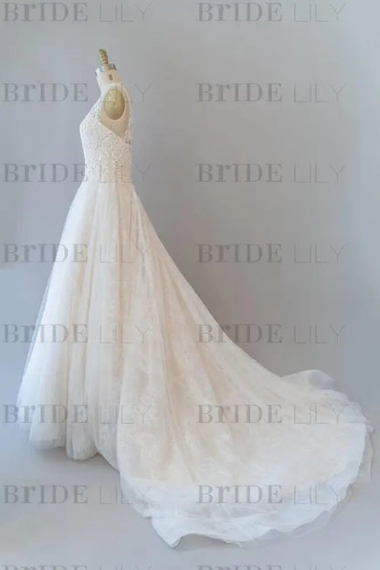V-neck Appliques Tulle Chapel Train Wedding Dress